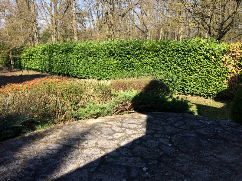 Portail aluminium & entretien jardin