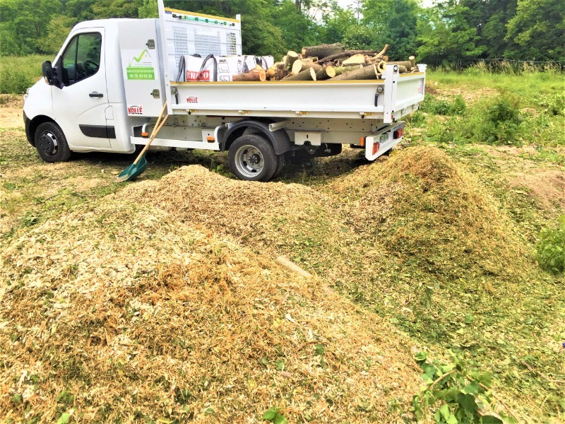 Abattage d'arbre pour fouille arch&eacute;ologique
